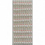 �������� ��������� �2 ��.6 (����.80��.) LC